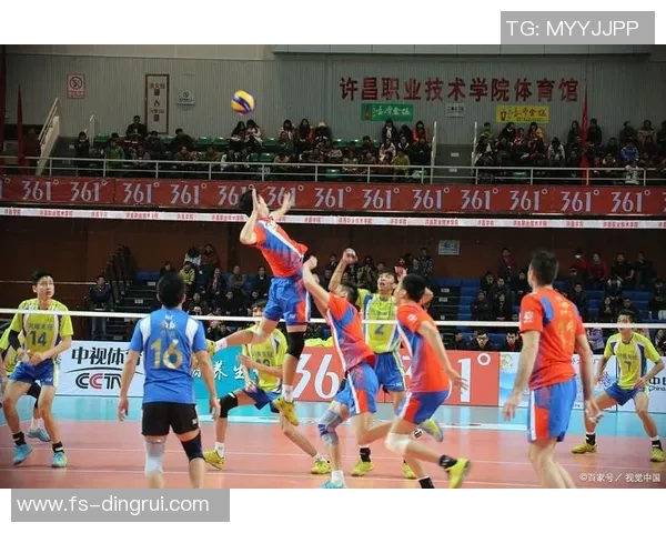 体育实时数据科学排球团队协作训练方法探究与实践提升团队竞技水平的有效策略